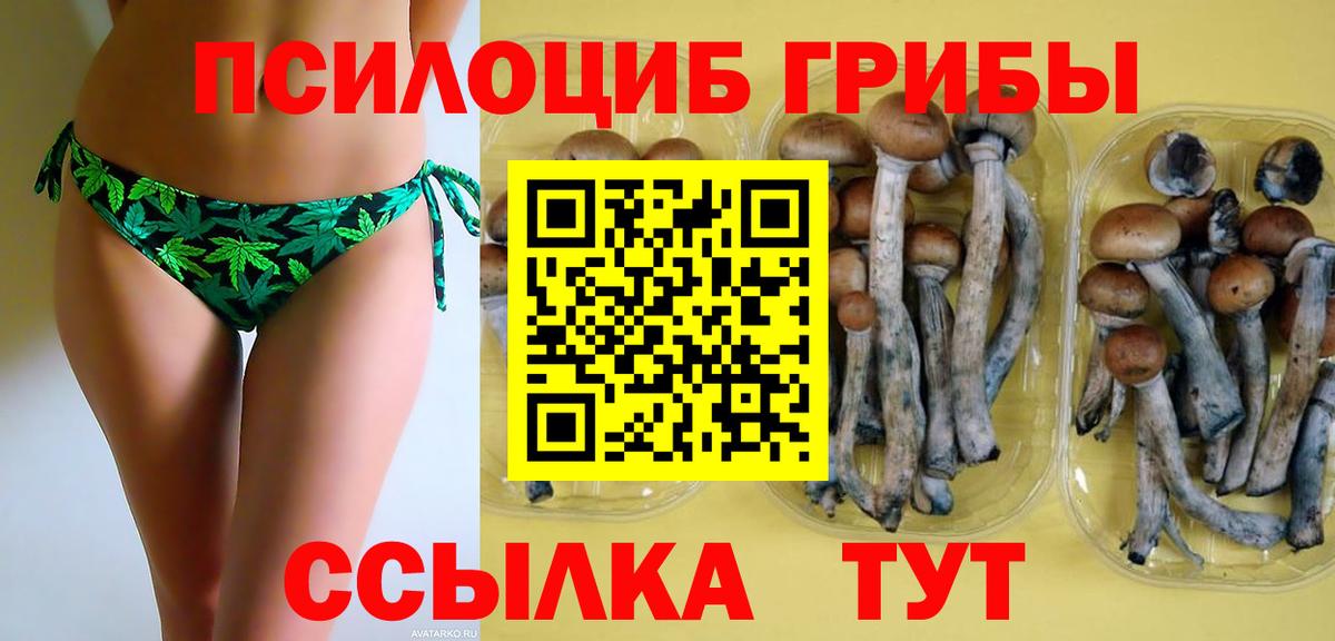 Галлюциногенные грибы GOLDEN TEACHER  Вход с VPN  Донецк 
