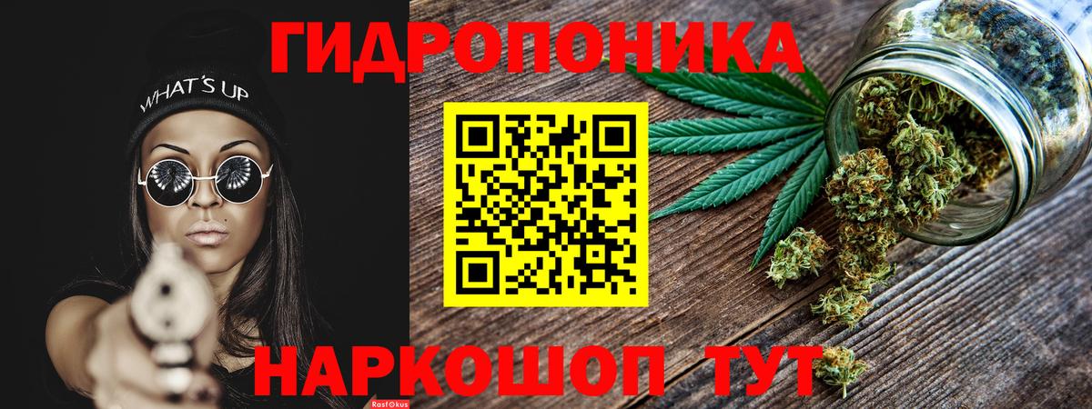 Каннабис Amnesia  Вход с VPN  Марихуана план  Бошки марихуана сатива  Марихуана конопля  Донецк 